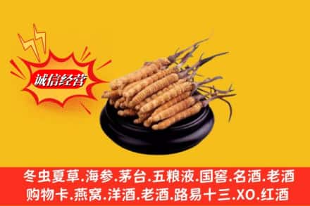元氏县名酒回收冬虫夏草.jpg